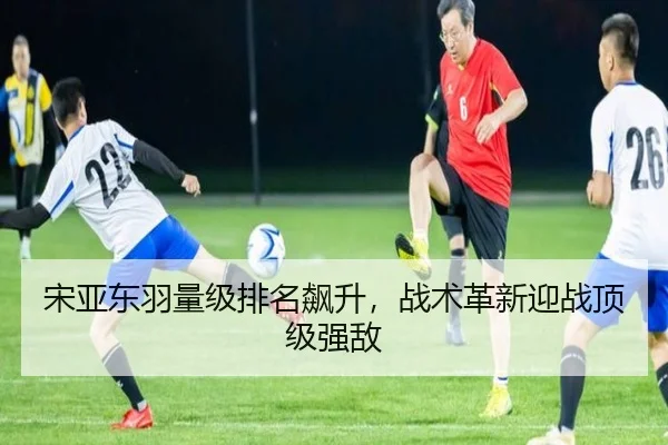 宋亚东羽量级排名飙升，战术革新迎战顶级强敌