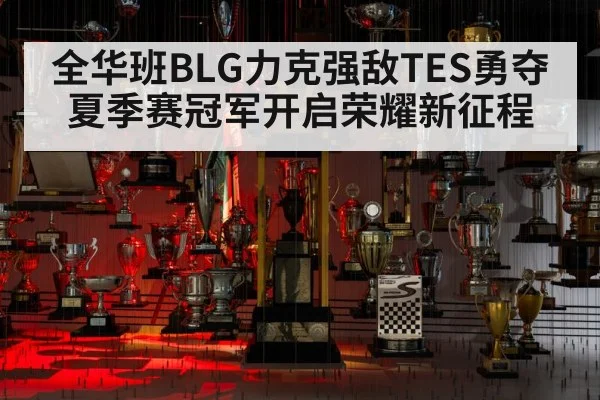 全华班BLG力克强敌TES勇夺夏季赛冠军开启荣耀新征程
